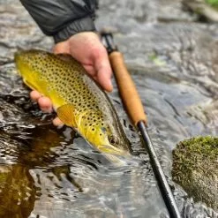 Cortland Competition MKII Single Handed Fly Rod 13 Cortland Competition MKII Single Handed Fly Rod -Top Sea-Trout Tackle Sales 18a0055.4